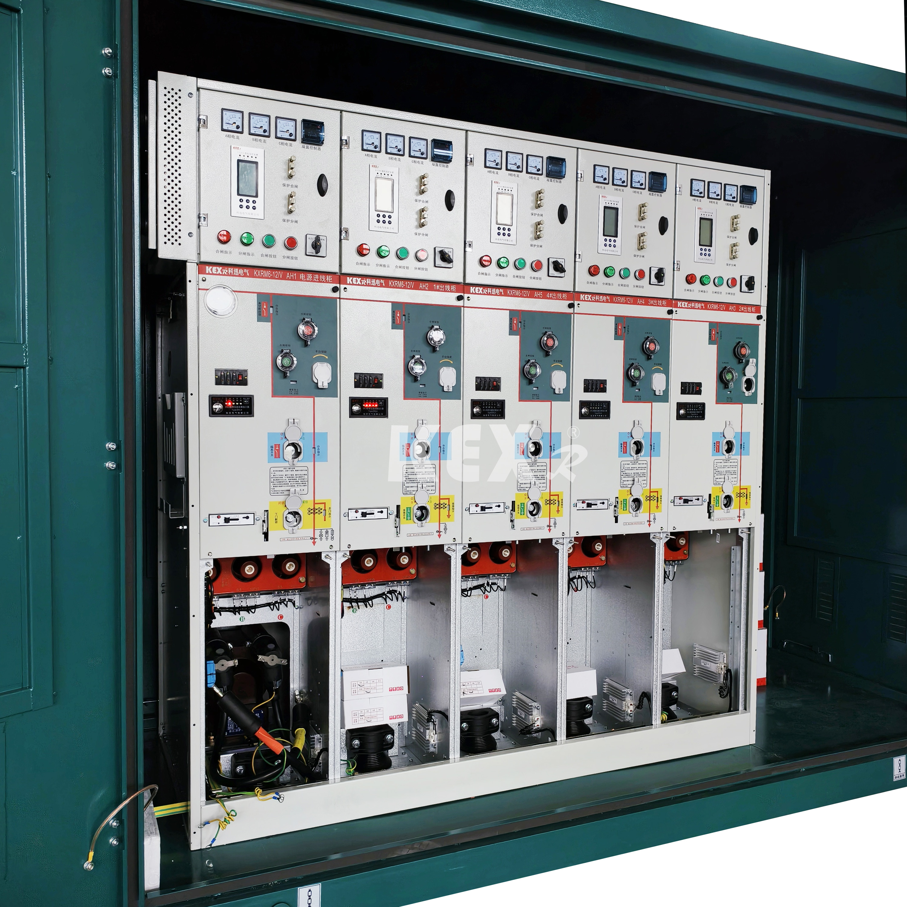 Врсте ормана прстенасте мреже